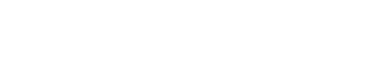 Witness